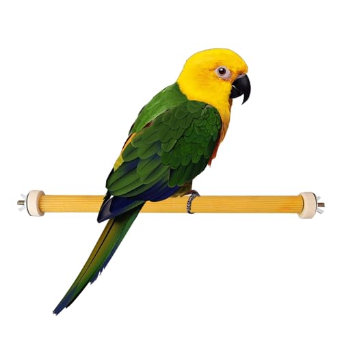 Vogelkäfig-Halter für Haustiere, Spielzeug zum Mahlen von Vogelpfoten – für Nymphensittittel-Übungen aus Naturholz – Barsch, Nymphensittich, Unterstützung Vogelkäfig-Halter für Haustiere, Spielzeug zum Mahlen von Vogelpfoten – für Nymphensittittel-Übungen aus Naturholz – Barsch, Nymphensittich, Unterstützung von Whnbuij