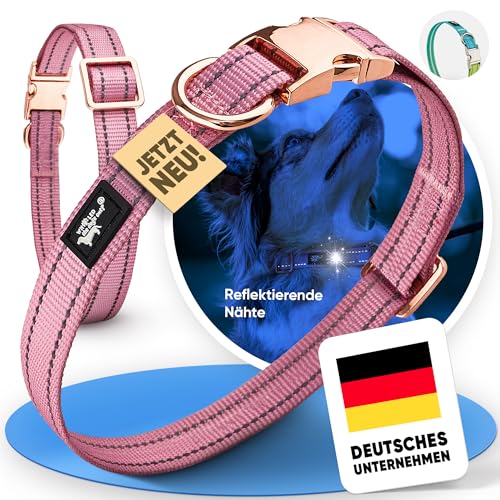 Who LED the dogs out?® Halsband reflektierend [Hundehalsband verstellbar] für große & kleine Hunde leichtgewichtiges Halsband Spaziergänge & Training - mittlere Hunde - jetzt Farbe wählen von Who LED the dogs out?