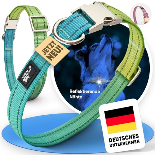 Who LED the dogs out?® Halsband reflektierend [Hundehalsband verstellbar] für große & kleine Hunde leichtgewichtiges Halsband Spaziergänge & Training - mittlere Hunde - jetzt Farbe wählen von Who LED the dogs out?