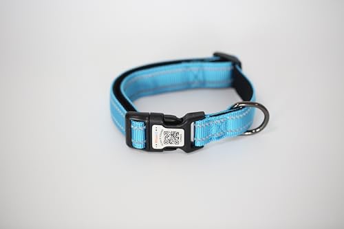 Hundehalsband, gepolstert mit weichem Neopren, atmungsaktiv, Schnellverschluss, Basic-Hundehalsbänder für kleine, mittelgroße und große Hunde (Blau-1, L) von WhoseID