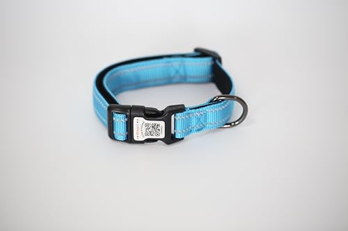 Hundehalsband, gepolstert mit weichem Neopren, atmungsaktiv, Schnellverschluss, Basic-Hundehalsbänder für kleine, mittelgroße und große Hunde (Blau-1, M) von WhoseID