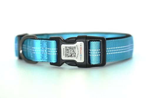 Hundehalsband, gepolstert mit weichem Neopren, atmungsaktiv, Schnellverschluss, Basic-Hundehalsbänder für kleine, mittelgroße und große Hunde (Blau-3, M) von WhoseID