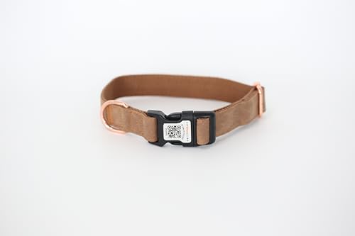 Hundehalsband, gepolstert mit weichem Neopren, atmungsaktiv, Schnellverschluss, Basic-Hundehalsbänder für kleine, mittelgroße und große Hunde (Braun, S) von WhoseID