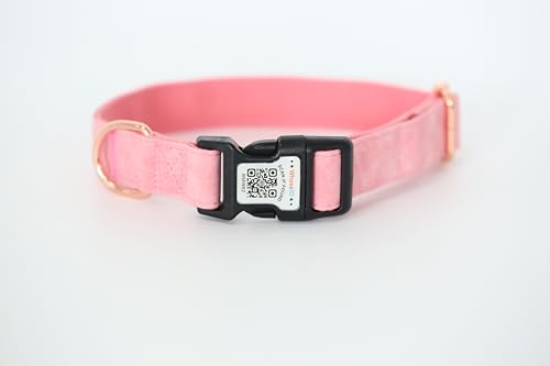Hundehalsband, gepolstert mit weichem Neopren, atmungsaktiv, Schnellverschluss, Basic-Hundehalsbänder für kleine, mittelgroße und große Hunde (Rosa, M) von WhoseID
