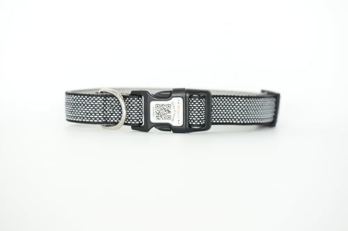 Hundehalsband, gepolstert mit weichem Neopren, atmungsaktiv, Schnellverschluss, Basic-Hundehalsbänder für kleine, mittelgroße und große Hunde (Schwarz, M) von WhoseID