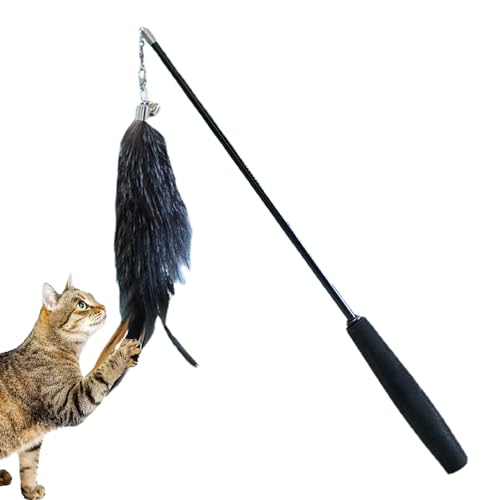 Whrcy Angelrute für Katzen, Katzenspielzeug für drinnen | Teaser Wand Cat Teaser Toy Interaktives Spielzeug für Katzen mit Glocke, Teaser rutschfest für Katzen, lustiges Spielzeug Whrcy Angelrute für Katzen, Katzenspielzeug für drinnen | Teaser Wand Cat Teaser Toy Interaktives Spielzeug für Katzen mit Glocke, Teaser rutschfest für Katzen, lustiges Spielzeug von Whrcy