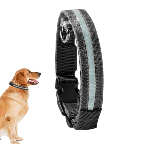 Whrcy Blinkende Hundehalsbänder, leuchtendes Halsband für Hunde, LED-Blinklicht, wiederaufladbar, für mittelgroße und kleine Haustiere, Hunde von Whrcy