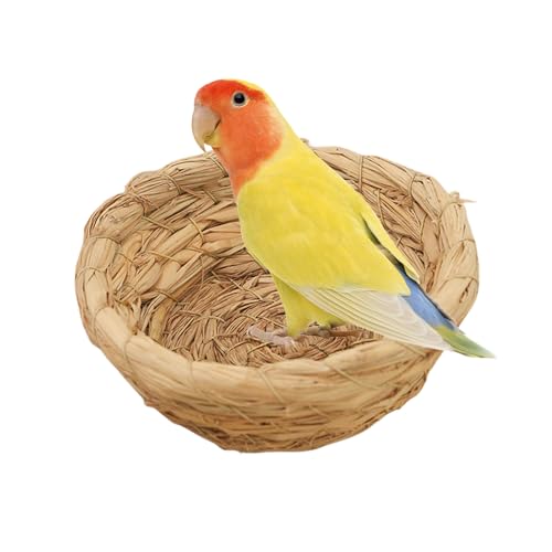 Whrcy Brutnest für Vögel, Vogelkäfig, Vogelnest aus Stroh, flach, handgewebt, Zubehör für Vogelkäfig, Nest, Haus für Tauben, Papageien, Kaninchen, Whrcy Brutnest für Vögel, Vogelkäfig, Vogelnest aus Stroh, flach, handgewebt, Zubehör für Vogelkäfig, Nest, Haus für Tauben, Papageien, Kaninchen, von Whrcy