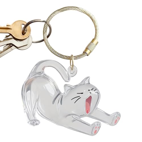 Whrcy Hundehaar Sammler Schlüsselanhänger - Transparente Katzenhaar Sammelflasche | Sammelbarer Behälter Anhänger für Haustierliebhaber, Damen, Reise und Urlaub, Kinder, Handtaschen und von Whrcy