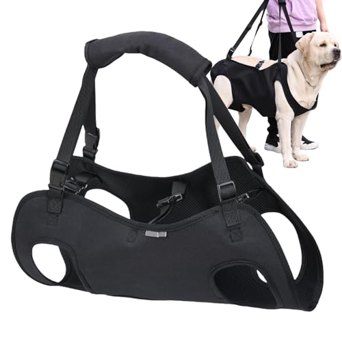 Whrcy Hundetragegurt, Hundetragegeschirr,Haustier-Rehabilitationsweste - Hundegeschirr zur Unterstützung der Genesung mit verstellbarem Riemen und dickem Griff für behinderte Hunde Whrcy Hundetragegurt, Hundetragegeschirr,Haustier-Rehabilitationsweste - Hundegeschirr zur Unterstützung der Genesung mit verstellbarem Riemen und dickem Griff für behinderte Hunde von Whrcy