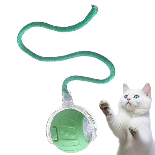 Whrcy Katzenball - Automatisch Rollendes Katzen Spielzeug Interaktiv,Leises Elektroball mit Schwanzseil zur Unterhaltung, Indoor-Training & Jagdsimulation bei Langeweile Whrcy Katzenball - Automatisch Rollendes Katzen Spielzeug Interaktiv,Leises Elektroball mit Schwanzseil zur Unterhaltung, Indoor-Training & Jagdsimulation bei Langeweile von Whrcy