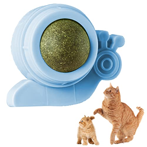 Whrcy Katzenspielzeug in Form einer Schnecke, essbare Kugeln für Katzen – Kauspielzeug für Katzen im Innenbereich von Whrcy