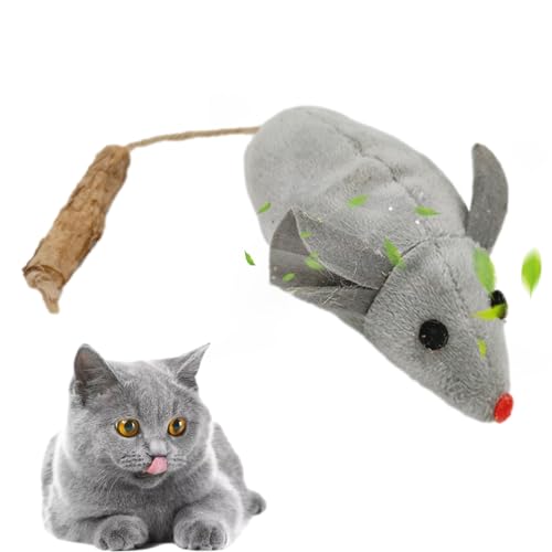 Whrcy Spielzeug für Kätzchen, Katzenspielzeug, Katzenspielzeug, Katzenspielzeug, interaktives Spielzeug, tragbar, Katzenspielzeug, Katzenspielzeug, Katzenspielzeug, Bewegungsspielzeug Whrcy Spielzeug für Kätzchen, Katzenspielzeug, Katzenspielzeug, Katzenspielzeug, interaktives Spielzeug, tragbar, Katzenspielzeug, Katzenspielzeug, Katzenspielzeug, Bewegungsspielzeug von Whrcy