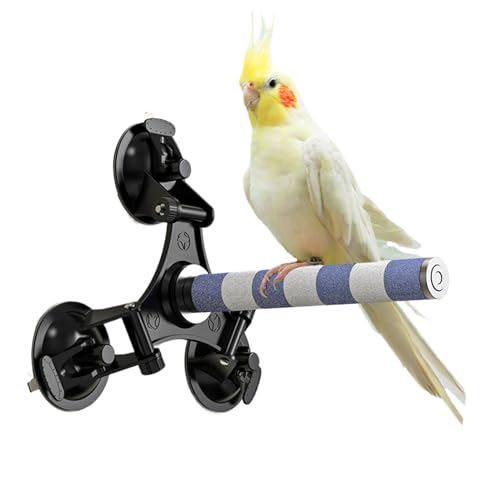 Whrcy Vogelstange Ständer mit Saugnapf, Bewegliche Sitzstange Spielzeug Stabile Struktur Training Spielzeug für Lovebirds Wellensittiche Mittlere Sittiche Nymphensittiche Whrcy Vogelstange Ständer mit Saugnapf, Bewegliche Sitzstange Spielzeug Stabile Struktur Training Spielzeug für Lovebirds Wellensittiche Mittlere Sittiche Nymphensittiche von Whrcy