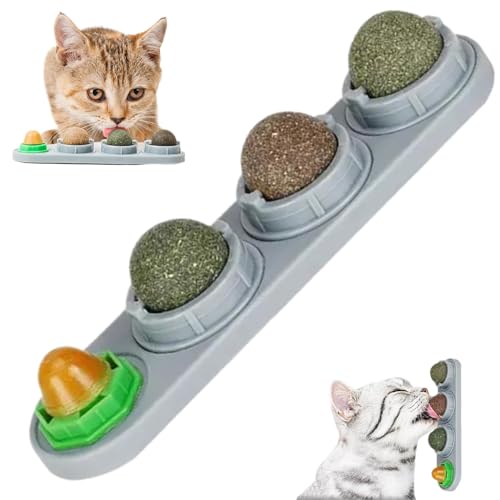 Cat Nip Bugs Wall, Katzenkugeln, 4 Geschmacksrichtungen 360 ° Rotatable essbare Katzenfischwandhalterung mit feuchtigkeitssicherer Deckelkatze Energy Ball Lick Anxiety Relief Interaktives Spielzeug f von Whyzsjnclg