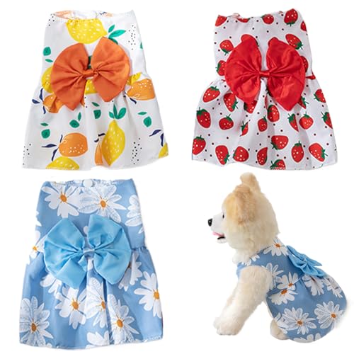 Hundegurtkleid, 3 PCs Welpe Kleidung für kleine Hunde Mädchen Süße Bogen weibliche kleine Haustierkabel Kleid atmungsaktiv für Katze, Kaninchen von Whyzsjnclg