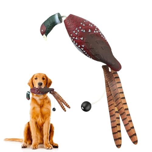 WideSmart Dummy Hundetraining,Hundetraining-Enten Dummy Hund Hundetraining Zubehör Apportierdummy Dummy Hundetraining Wasserspielzeug Hund Hunde Dummy Hunde(Grünkopf-Fasan) von WideSmart