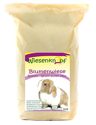 Wiesenknopf Blumenwiese blumiger Kräutermix 300g von Wiesenknopf