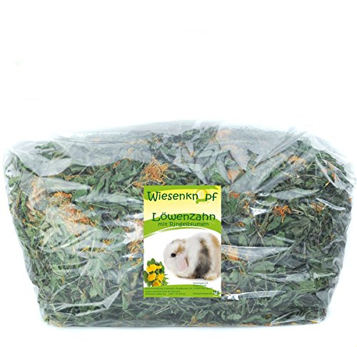 Wiesenknopf Löwenzahn mit Blüten 1kg Kaninchenfutter von Wiesenknopf