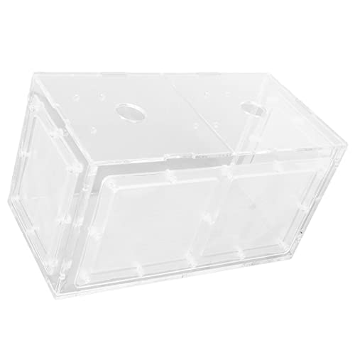 Wifehelper Aquarium-Inkubator, Fischzuchtbox, Acryldeckel, Transparente Netzseite für Kleine Fische Im Aquarium (20 * 10 * 11CM) von Wifehelper