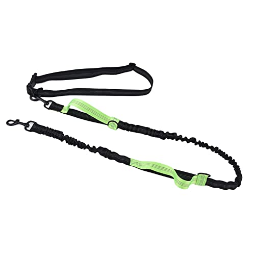 Wifehelper Traktionsseil Hundekettenleine, Tragbar Zum Sprinten, Joggen, Tiergesundheitsbedarf (Green) von Wifehelper