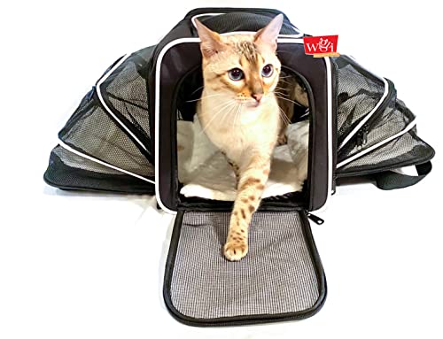 Wigzi ReiseTransportbox für Katzen und kleine Hunde (unter 9 kg): von Fluggesellschaften zugelassen, wiederaufladbares LEDLicht und ultraweiches Bett mit erweiterbaren Seiten, bequem und geräumig, von Wigzi