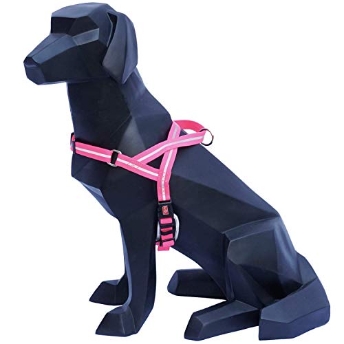 Wigzi SWH-PK Reflective Waterproof Harness, S, neon grün von Wigzi