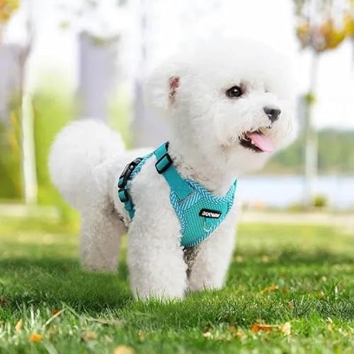 Geschirr für Katzen und Hunde, verstellbarer und bequemer Gurt, Sicherheitsgeschirr, einfach an- und auszuziehen, perfekt für Spaziergänge und Reisen (Blau, XL) von Wikao