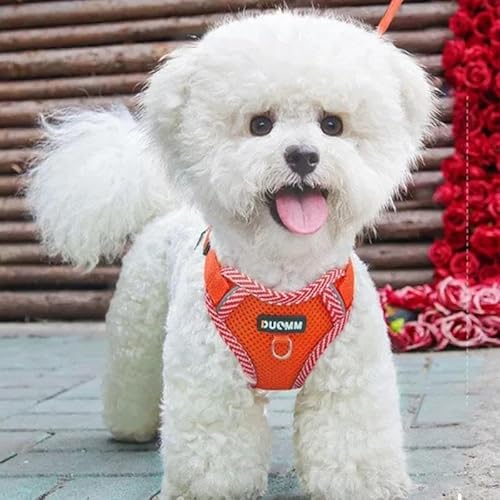 Geschirr für Katzen und Hunde, verstellbarer und bequemer Gurt, Sicherheitsgeschirr, einfach an- und auszuziehen, perfekt für Spaziergänge und Reisen (Orange, S) von Wikao