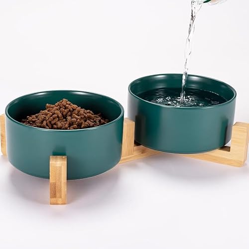 Keramikschale für Haustiere (grün) von Wikao