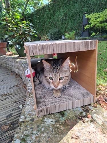 Kratztunnel für Katzen, interaktives Spielzeug, Katzenbaum, Spieltunnel Kratztunnel für Katzen, interaktives Spielzeug, Katzenbaum, Spieltunnel von Wikao