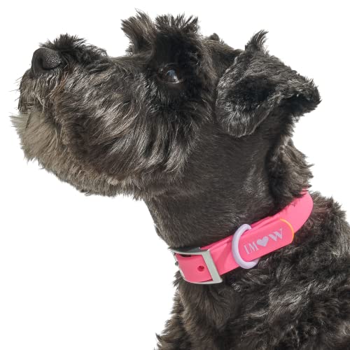 Wild One, Limitierte Auflage, Designer-Kollektion, rosa Hundehalsband, Hunde Halsbänder, leicht zu reinigen, Allwetter-Flex-Poly-Gurt mit Metall, langlebig, schmutz- und geruchsresistent, groß Wild One, Limitierte Auflage, Designer-Kollektion, rosa Hundehalsband, Hunde Halsbänder, leicht zu reinigen, Allwetter-Flex-Poly-Gurt mit Metall, langlebig, schmutz- und geruchsresistent, groß von Wild One