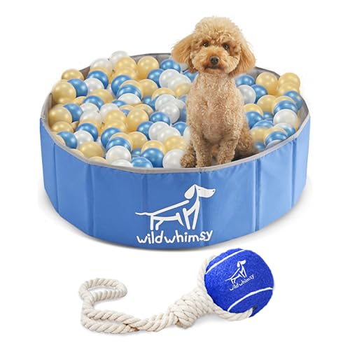 Wild Whimsy Hunde-Bällebad – Kombi-Pack 81,3 cm kleines, faltbares Bällebad für Hunde mit Seil, Ballspielzeug – Laufgitter für drinnen und draußen mit Metallverstärkungsring – Aufbewahrungsbox im Wild Whimsy Hunde-Bällebad – Kombi-Pack 81,3 cm kleines, faltbares Bällebad für Hunde mit Seil, Ballspielzeug – Laufgitter für drinnen und draußen mit Metallverstärkungsring – Aufbewahrungsbox im von Wild Whimsy