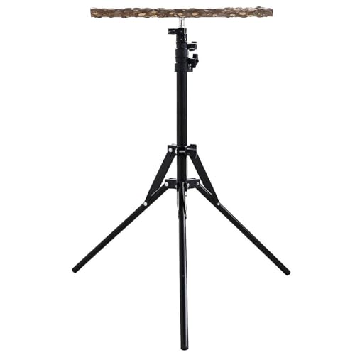 Adjustable Parrot Perch - 15.74-61.81 inch Height Adjustable Bird Perches | Parrot Training Stand with Sturdy Base, Wooden Bird Stand Perch for Small to Medium Birds, Cockatiels, Conures, African Grey von WildHarmony