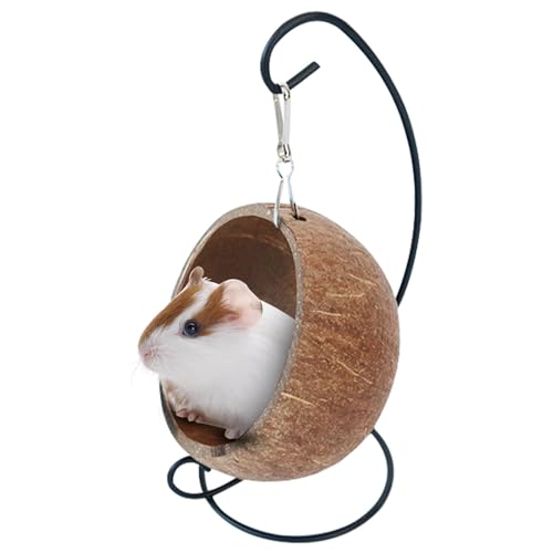 Small Animal - Hanging Hammock for Hamsters, Gerbils & Mice | Natural Shell Pet Nest with Plush Pad - Comfortable Cage Decor for Sleeping, Climbing & Playing, Ideal for Small Small Animal - Hanging Hammock for Hamsters, Gerbils & Mice | Natural Shell Pet Nest with Plush Pad - Comfortable Cage Decor for Sleeping, Climbing & Playing, Ideal for Small von WildHarmony