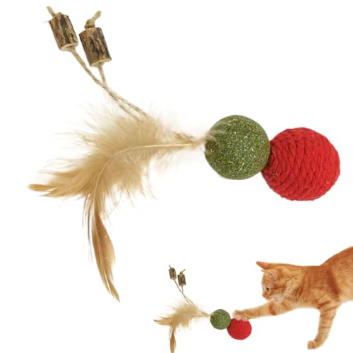 WildHarmony Katzenfederkugelspielzeug, interaktives Katzenspielzeug mit Feder, Kitten Teaser Toys, Pet Stress Relief -Spielwerkzeug, interaktiver Kätzchen -Katzenminzenkugel für Innenräume im Freien WildHarmony Katzenfederkugelspielzeug, interaktives Katzenspielzeug mit Feder, Kitten Teaser Toys, Pet Stress Relief -Spielwerkzeug, interaktiver Kätzchen -Katzenminzenkugel für Innenräume im Freien von WildHarmony