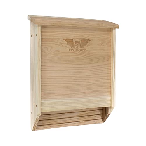 BIGBATBOX - Fledermaushaus für draußen - Reinigen Sie Ihren Garten von Mücken - Fledermaushaus-Set aus Holz - Mit unserem bewährten Fledermauskasten-Design werden Sie fast garantiert Fledermäuse von WildYard
