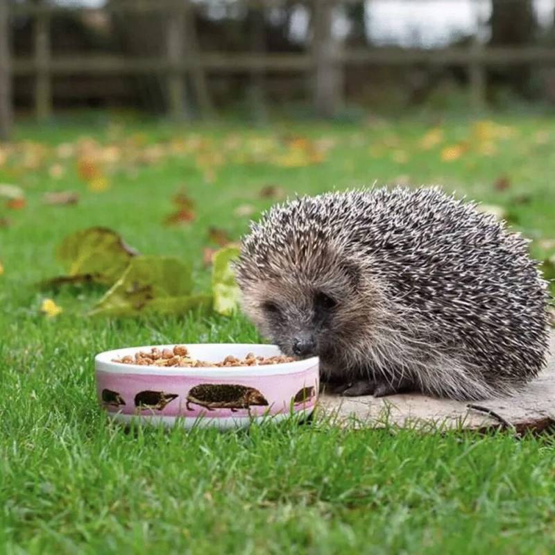 Wildbird Igelnapf Wildbird Igelnapf von Wildbird