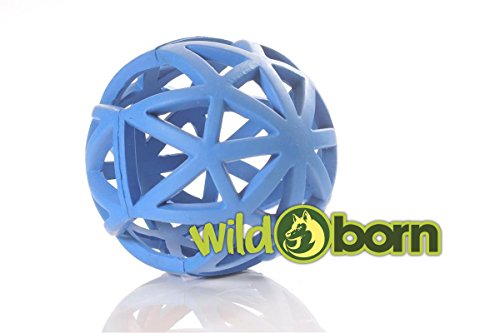 Wildborn Gitterball Hund | Gitterball Hundespielzeug Vollgummi Spielzeug | Kauspielzeug Gummiball für Hunde | Ball groß 12,5cm Wildborn Gitterball Hund | Gitterball Hundespielzeug Vollgummi Spielzeug | Kauspielzeug Gummiball für Hunde | Ball groß 12,5cm von Wildborn