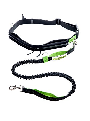 Wildborn Joggingleine mit verstellbarem Bauchgurt & wasserdichter Tasche | Sport Laufgürtel, wasserabweisend | Leine elastisch, reflektierend 120 cm Flexi Wildborn Joggingleine mit verstellbarem Bauchgurt & wasserdichter Tasche | Sport Laufgürtel, wasserabweisend | Leine elastisch, reflektierend 120 cm Flexi von Wildborn