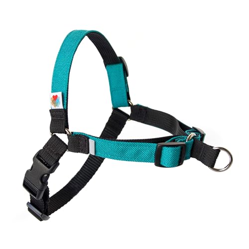 No Pull Hundegeschirr, Hundegeschirr mittelgroße Hunde, kleine Hunde, Hundetrainingsgeschirr, effektives No-Pull Design, 4-Punkt-verstellbar – Wildebeest (S – 45,7 ~ 61 cm Umfang, Türkis) von Wildebeest