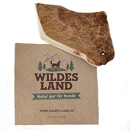 Wildes Land - Hirschgeweih Schaufel - M - Natürlich abgeworfenes Geweih - Reines Naturprodukt ohne Zusätze - Geruchslos, splittert Nicht - Unterstützt die Zahnreinigung - Geweihkausnack Wildes Land - Hirschgeweih Schaufel - M - Natürlich abgeworfenes Geweih - Reines Naturprodukt ohne Zusätze - Geruchslos, splittert Nicht - Unterstützt die Zahnreinigung - Geweihkausnack von WILDES LAND
