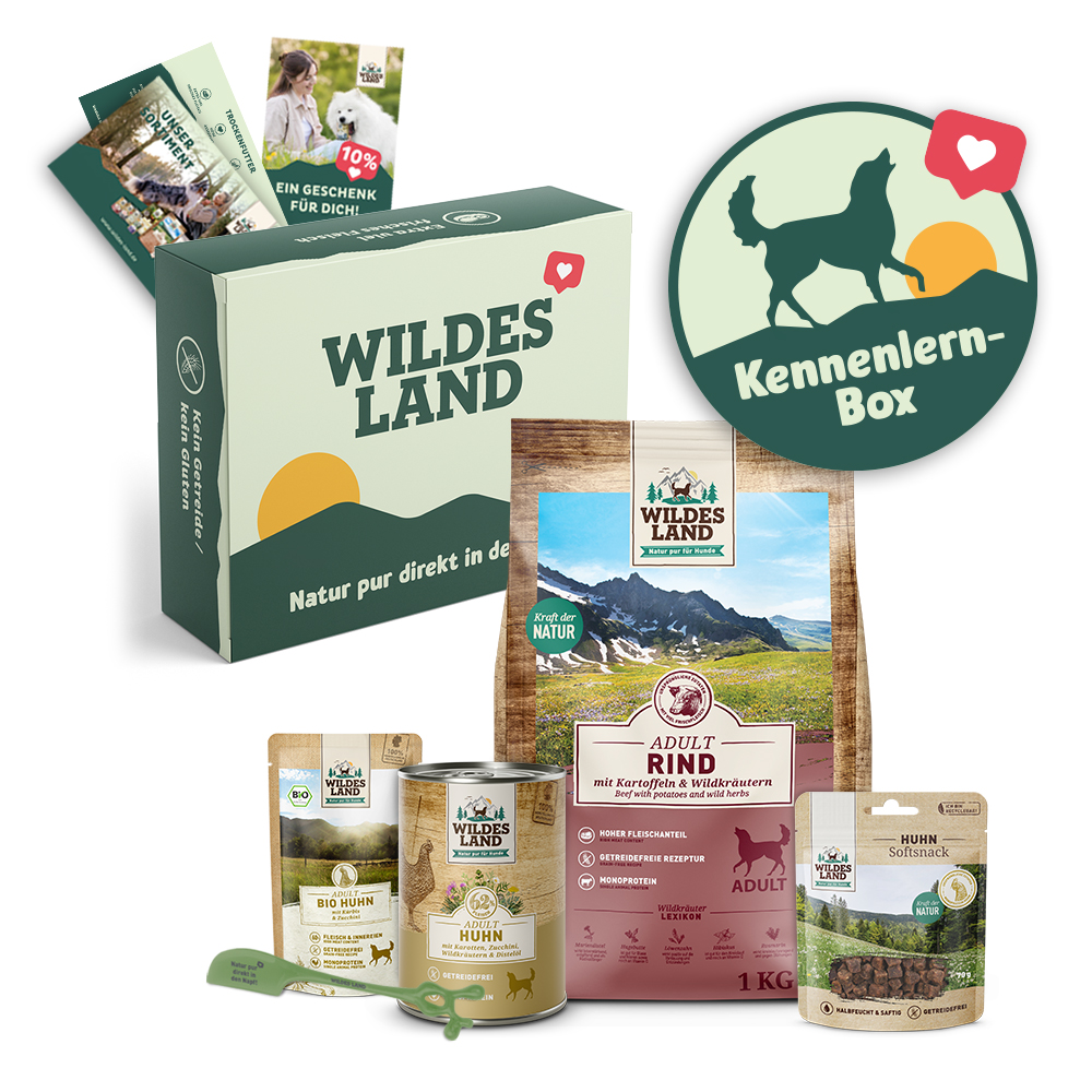 Wildes Land | Kennenlernpaket Hund | 1 Paket von Wildes Land