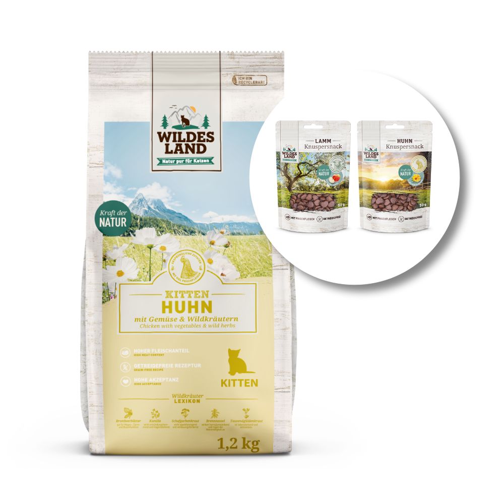 Wildes Land | Kitten Huhn Aktionspaket | Classic Kitten | 1 Paket Wildes Land | Kitten Huhn Aktionspaket | Classic Kitten | 1 Paket von Wildes Land
