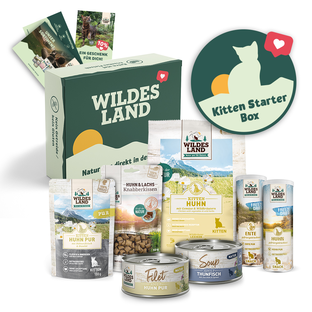 Wildes Land | Kitten Starter Box | 1 Paket von Wildes Land