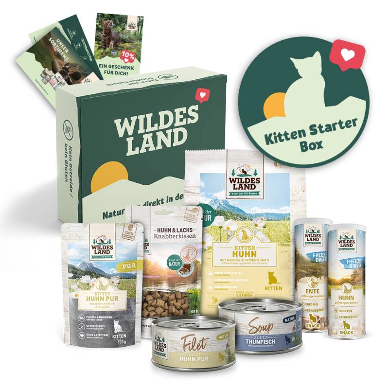 Wildes Land | Kitten Starter Box | 1 Paket von Wildes Land