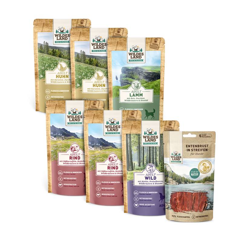 Wildes Land | Kleines Entdecker Paket | Classic Adult | 1 Paket von Wildes Land