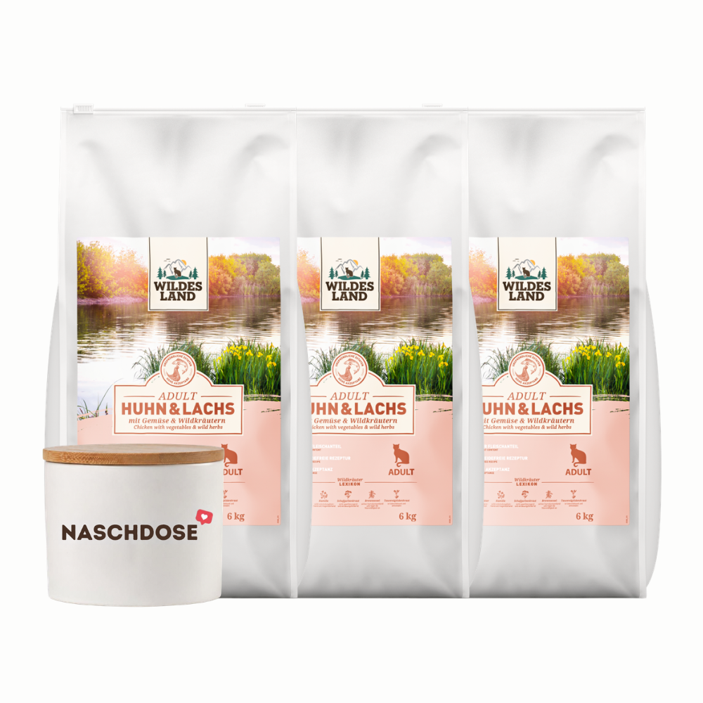 Wildes Land | Lieblingspaket Huhn & Lachs | Classic Adult | 1 Paket Wildes Land | Lieblingspaket Huhn & Lachs | Classic Adult | 1 Paket von Wildes Land
