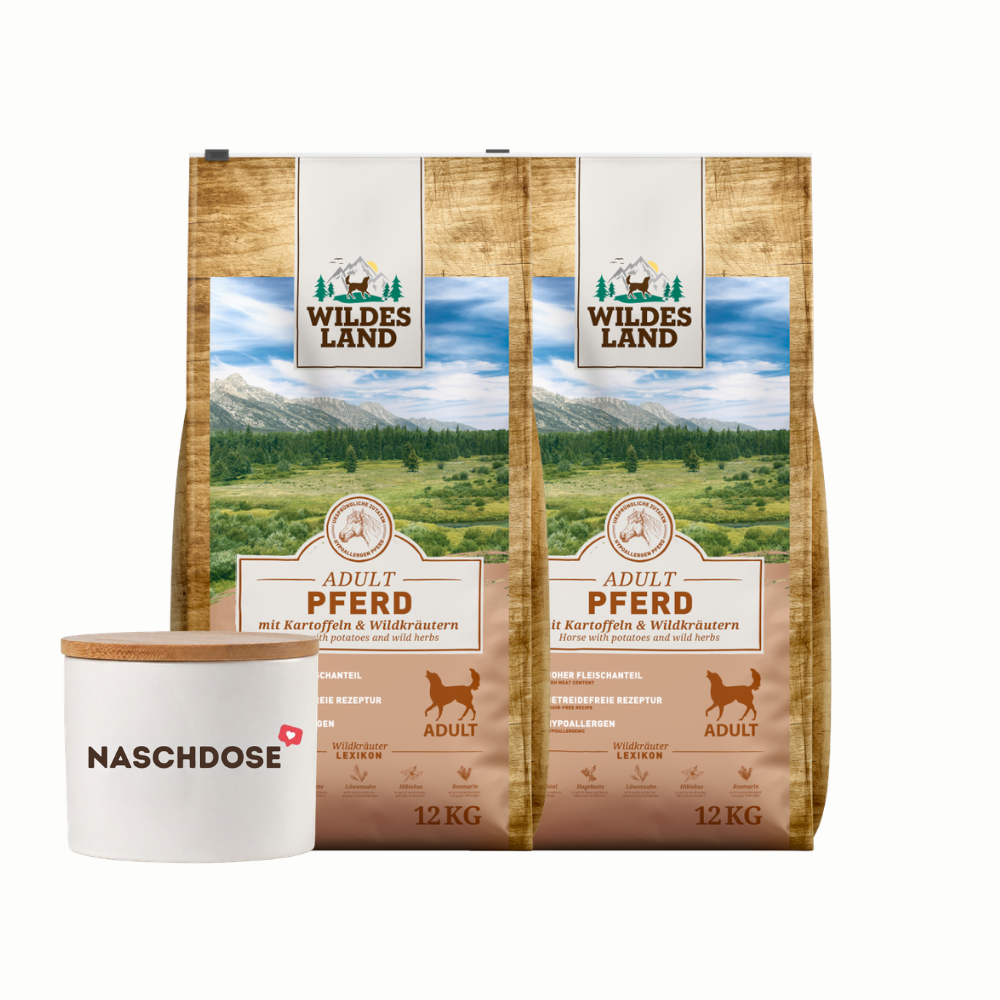 Wildes Land | Lieblingspaket Pferd | Classic Adult | 1 Paket von Wildes Land