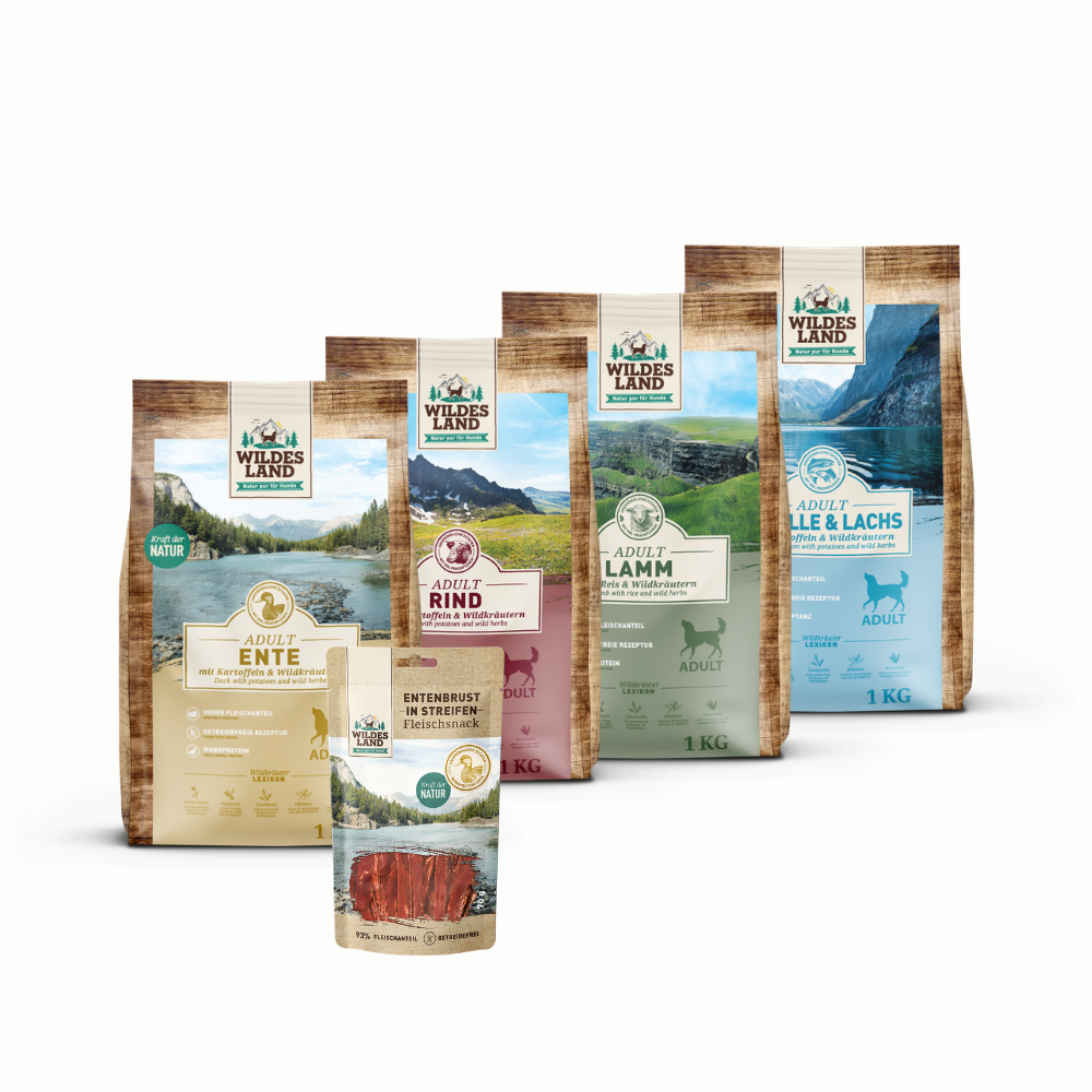 Wildes Land | Trockenfutter Probierpaket Hund | Classic Adult | 1 Paket von Wildes Land